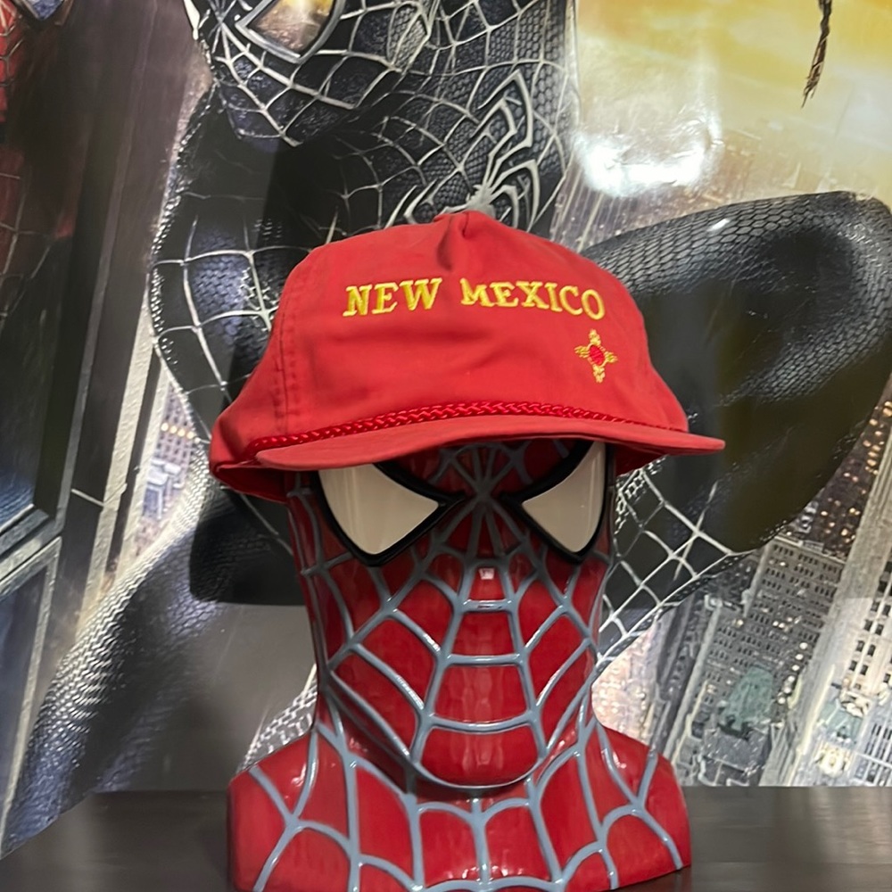 Vintage New Mexico hat